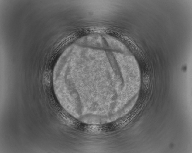 X0000116800325201001291545