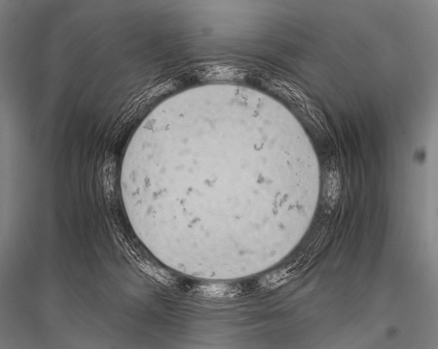 X0000116800326201001291545