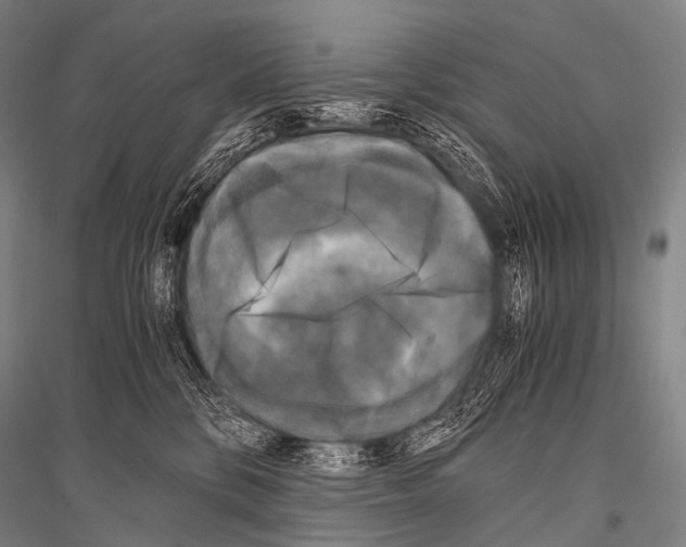 X0000116800328201001291545