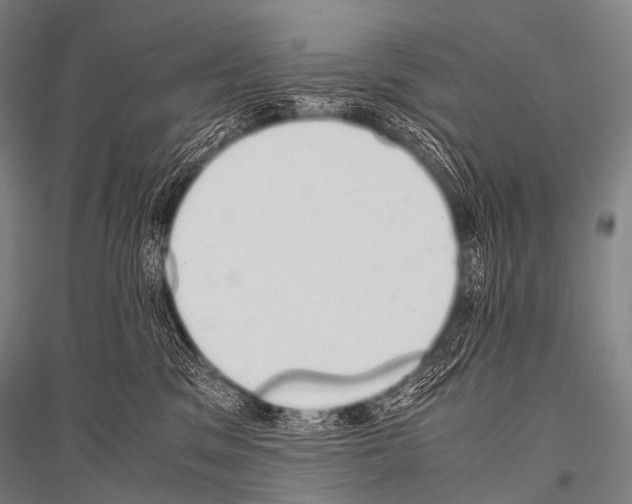 X0000116800329201001291545