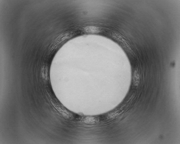 X0000116800330201001291545