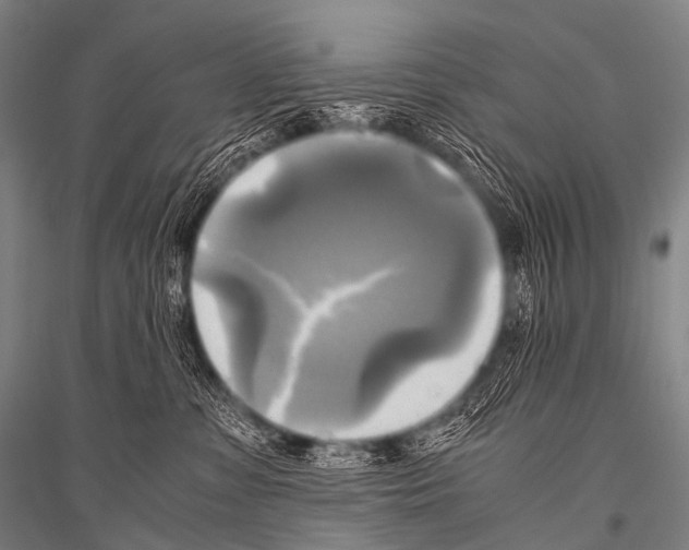 X0000116800331201001291545