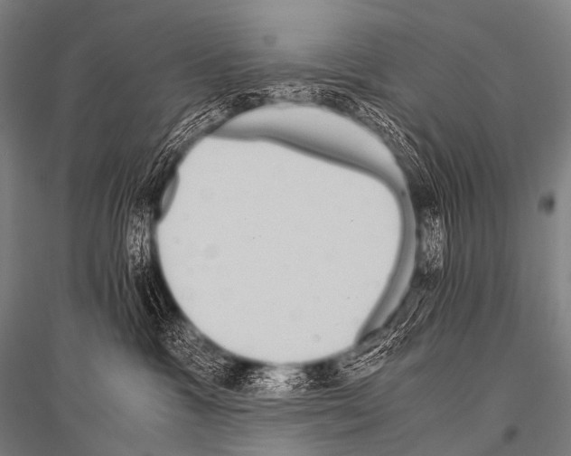 X0000116800333201001291545