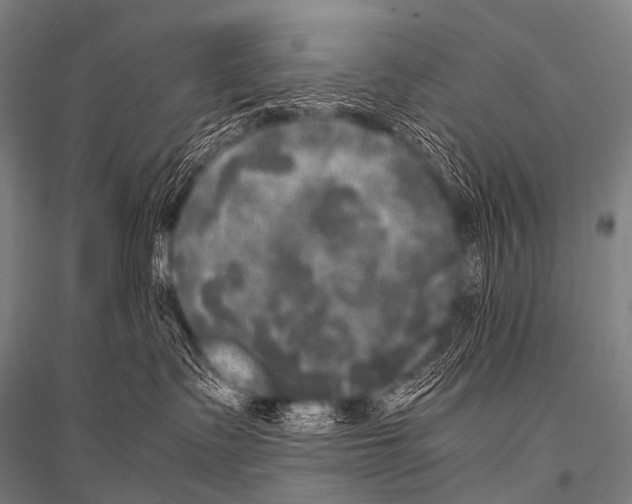 X0000116800335201001291545