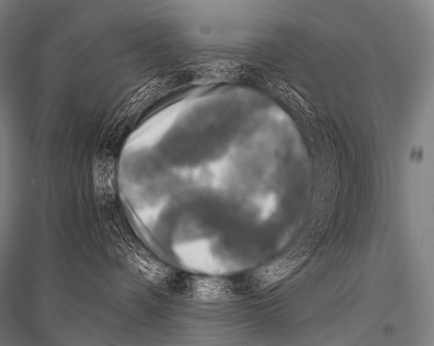 X0000116800336201001291545