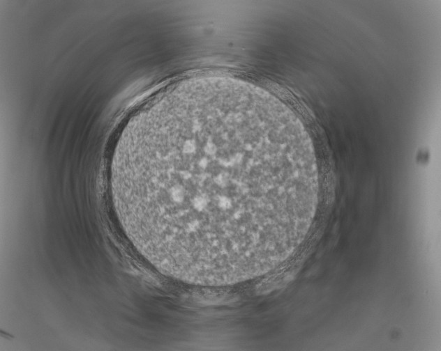 X0000116800338201001291545