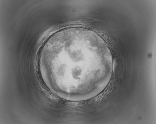 X0000116800339201001291545