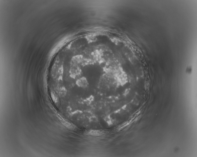 X0000116800341201001291545