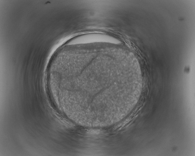 X0000116800342201001291545