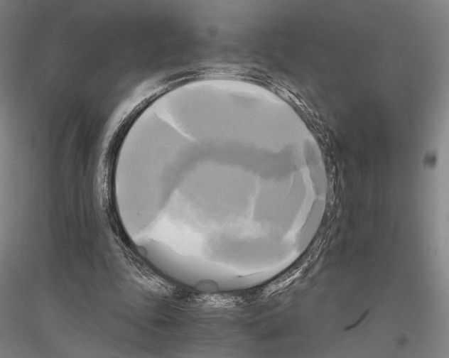 X0000116800343201001291545