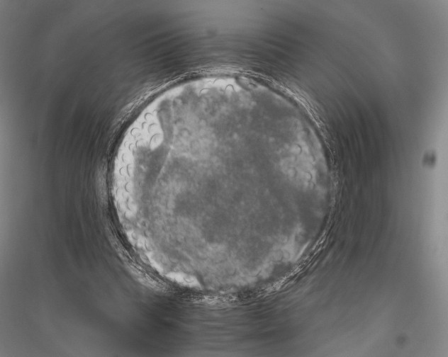 X0000116800345201001291545
