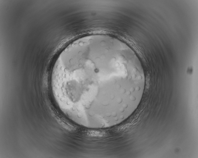 X0000116800347201001291545