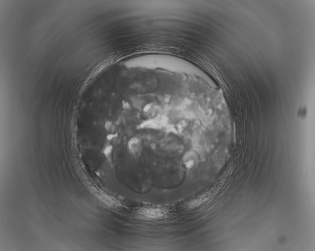 X0000116800349201001291545