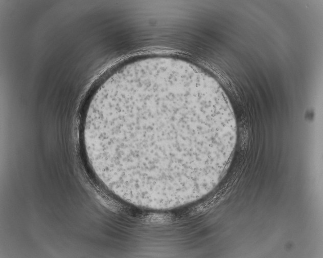 X0000116800350201001291545