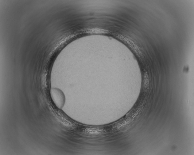 X0000116800351201001291545
