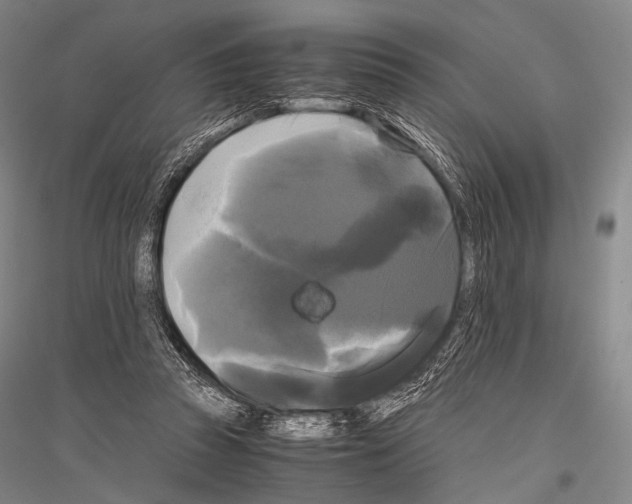 X0000116800353201001291545