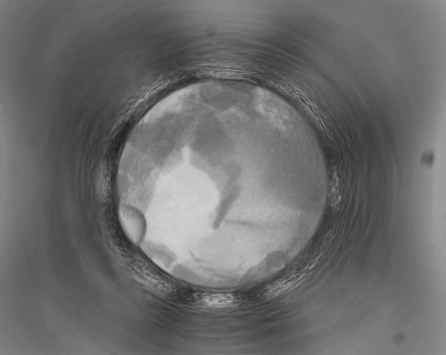 X0000116800355201001291545