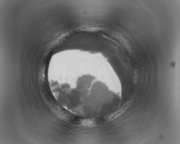 X0000116800358201001291545