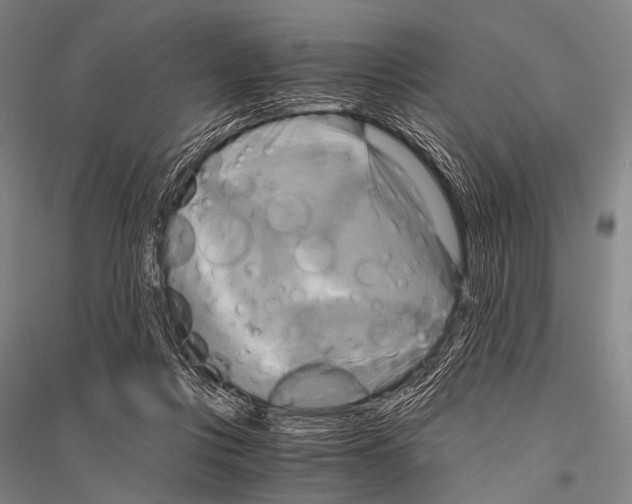 X0000116800359201001291545