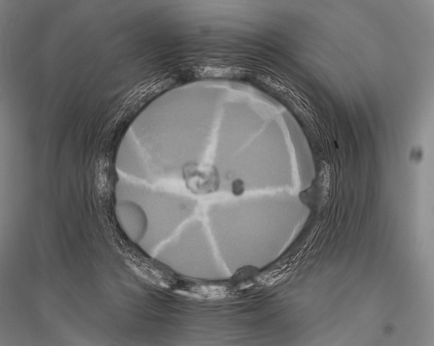 X0000116800361201001291545