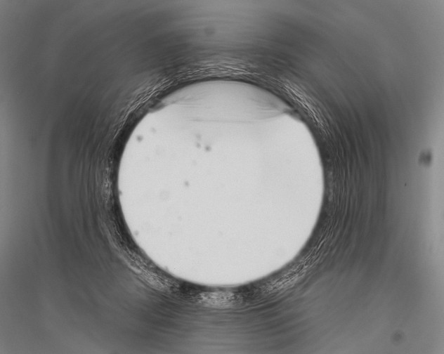X0000116800362201001291545