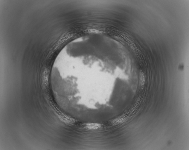 X0000116800363201001291545