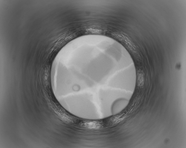X0000116800365201001291545