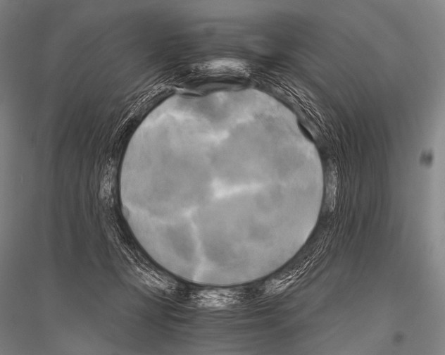 X0000116800367201001291545