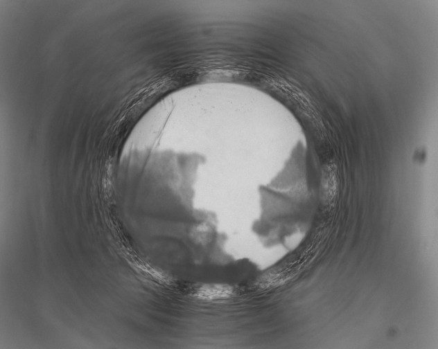 X0000116800369201001291545
