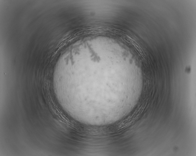 X0000116800370201001291545
