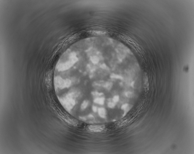 X0000116800373201001291545