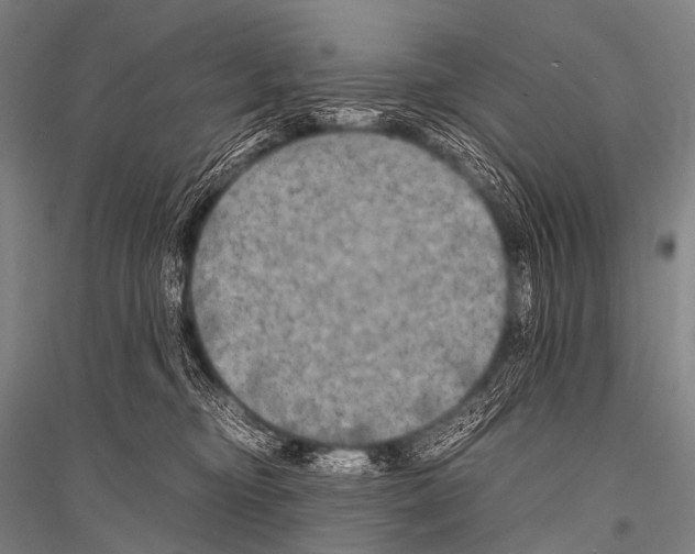 X0000116800374201001291545