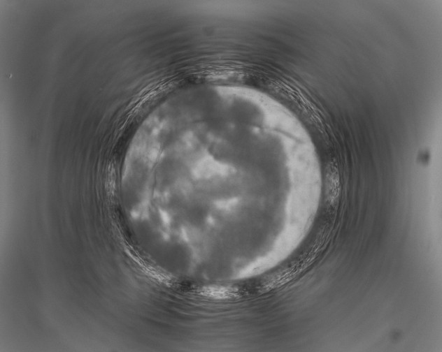X0000116800375201001291545