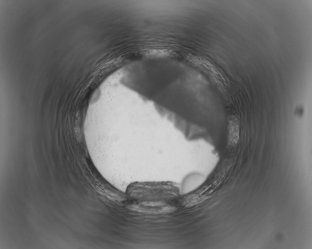 X0000116800377201001291545