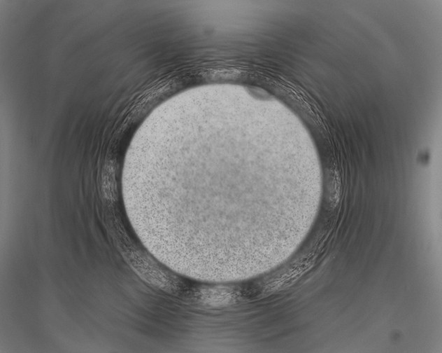 X0000116800378201001291545