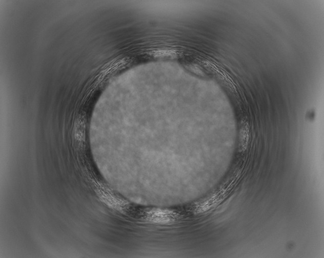 X0000116800379201001291545