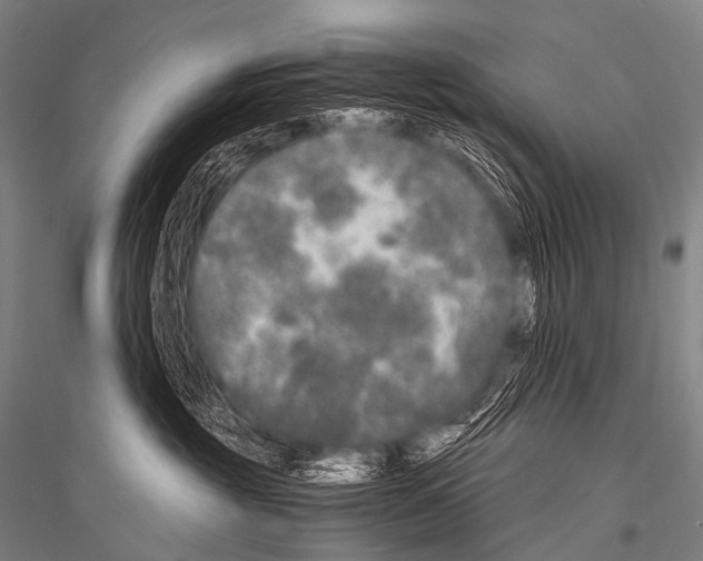 X0000116800381201001291545