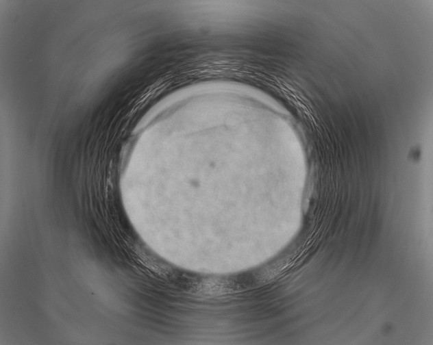 X0000116800382201001291545