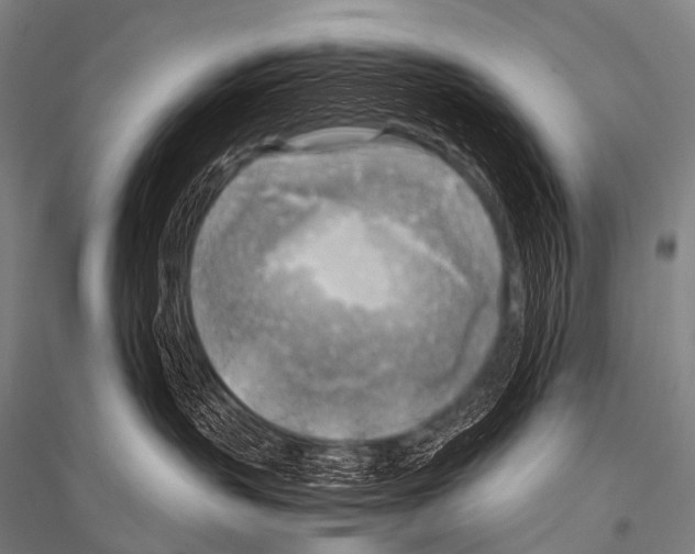X0000116800383201001291545