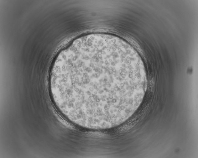 X0000116800389201001291545