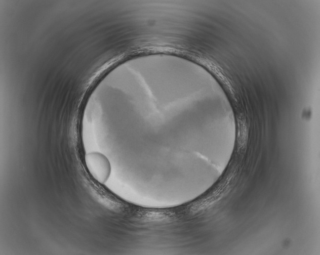 X0000116800390201001291545