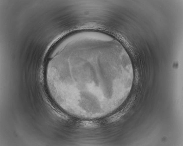 X0000116800392201001291545