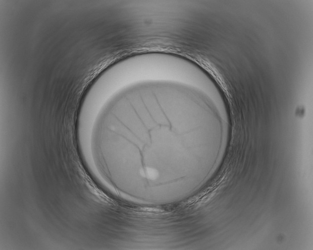X0000116800393201001291545