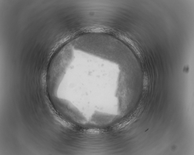 X0000116800394201001291545