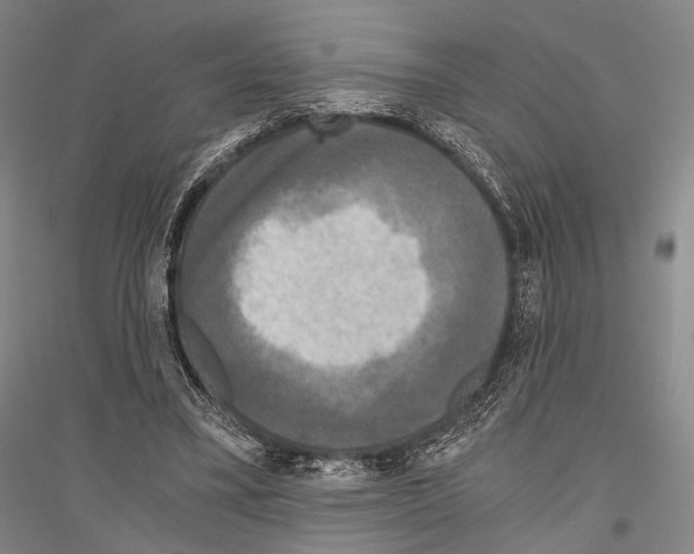 X0000116800395201001291545