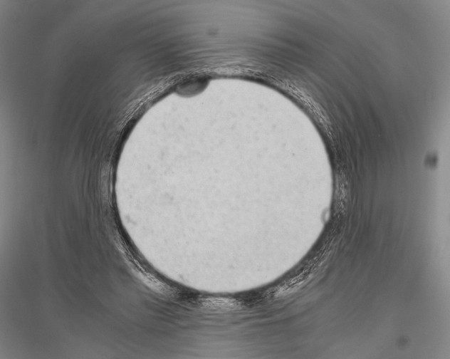 X0000116800397201001291544