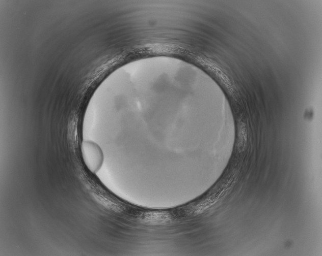 X0000116800398201001291544