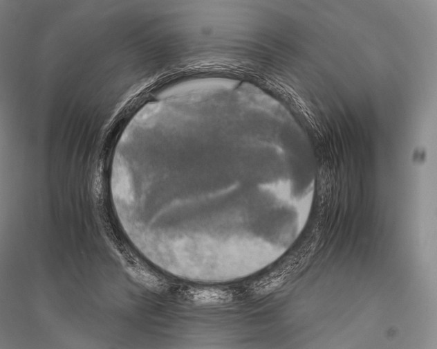 X0000116800400201001291544
