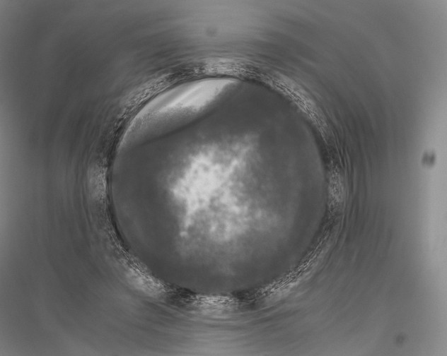 X0000116800401201001291544