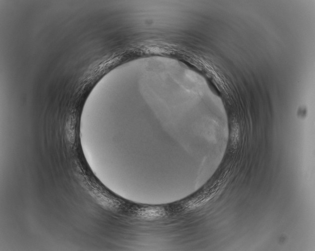 X0000116800402201001291544
